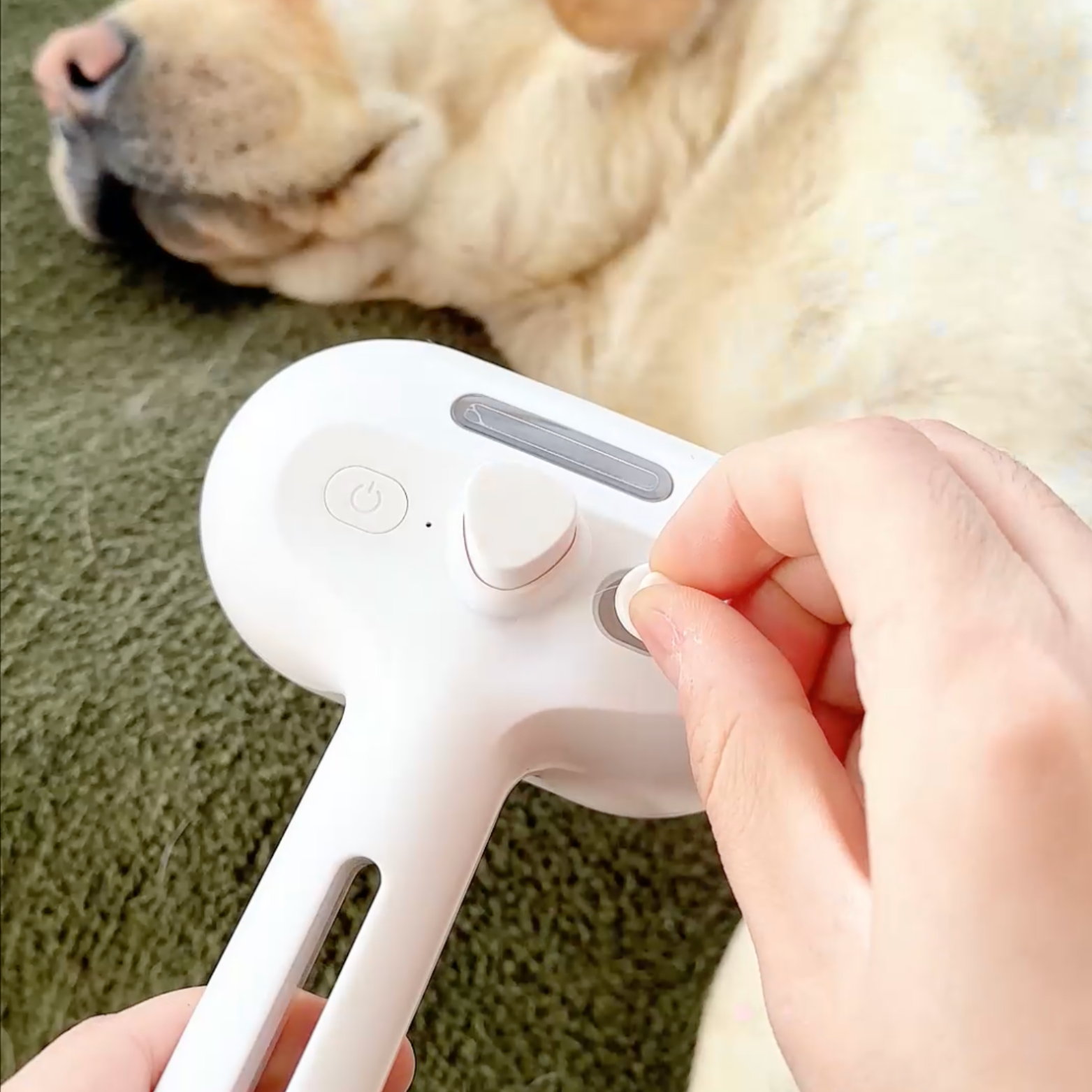 3 in 1 Viral Steam Brush