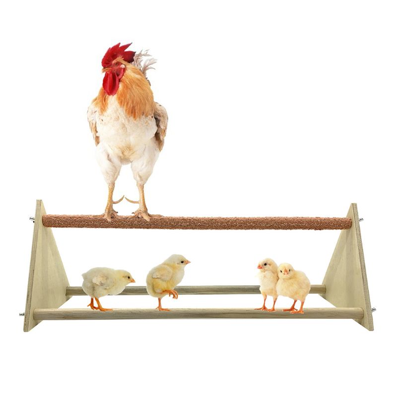 Triangle Hen Wood Stand For Birds