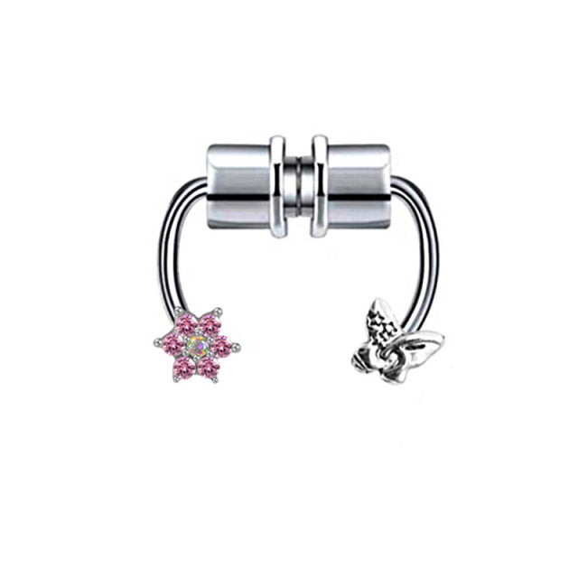 Magnet Septum Ring