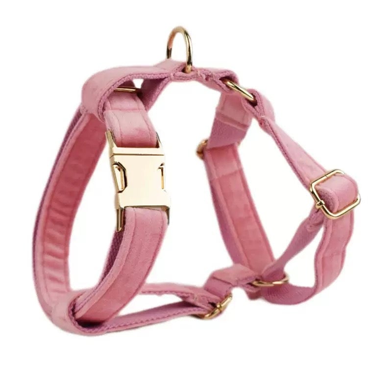 Velvet Personalized Dog Harness Collar Leash
