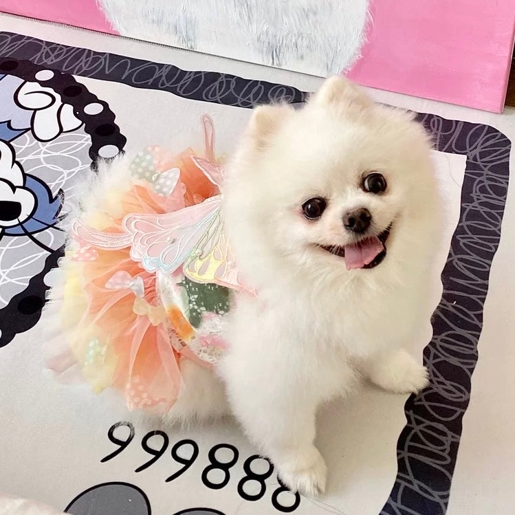 Butterfly Decor Sweet Dog Cat Lace Dress
