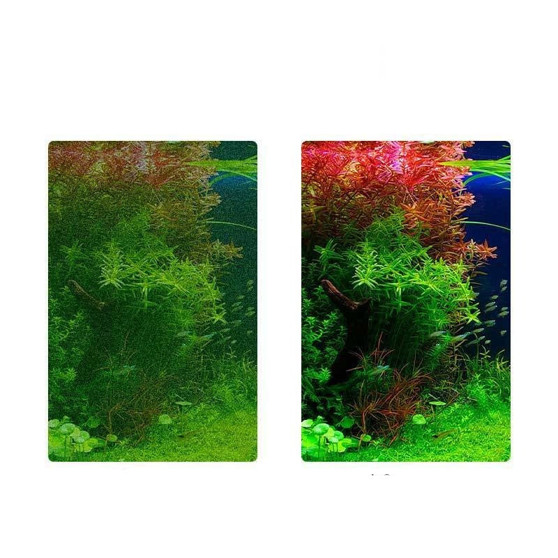 Aquatic Water Grass Cleaning Tool