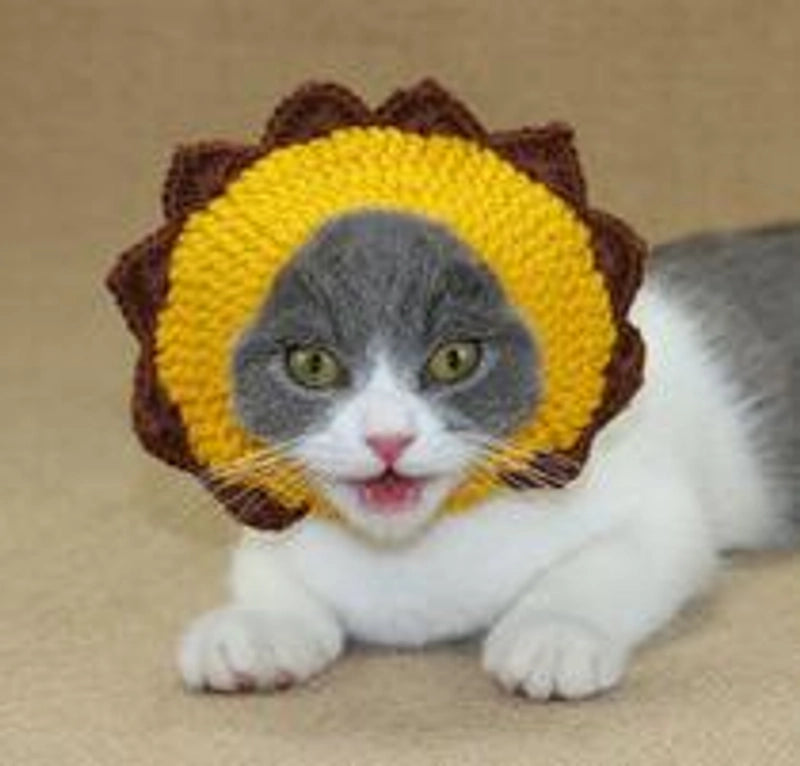Cute Acrylic Frog Patchwork Pet Hat