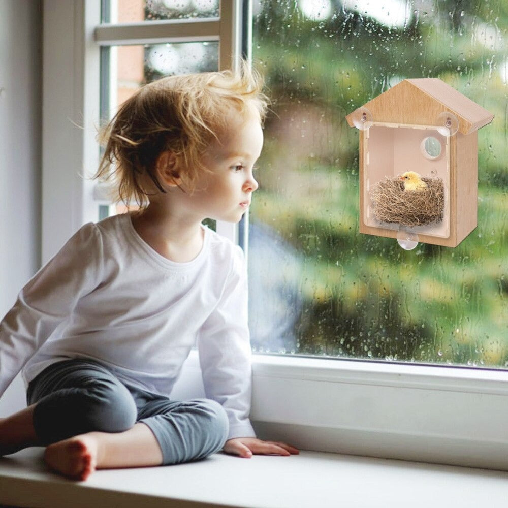 Transparent Bird House Swallow Bird Nest