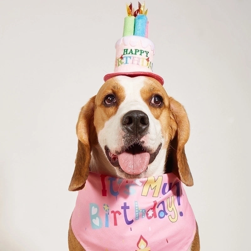 Cute Polyester Birthday Cartoon Letter Pet Scarf Pet Tire