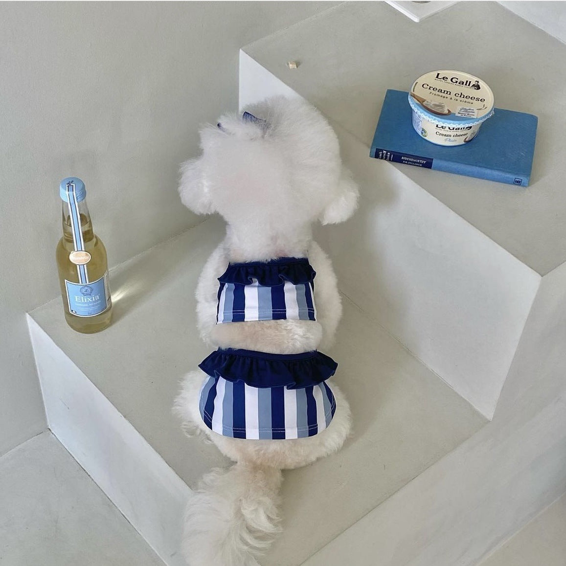 Contrast Color Striped Dog Cat Bikini