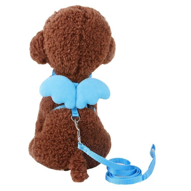 Angel Wing Dog Harness With Leash