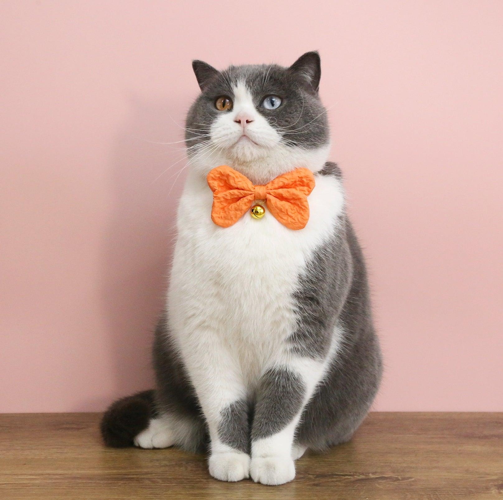 Candy-Colored Denim Bowtie Adjustable Pet Collar