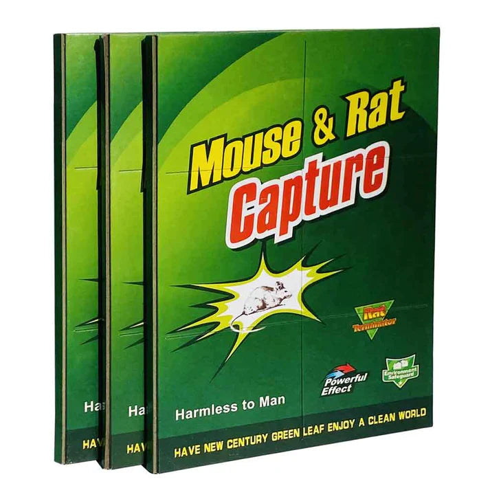 Pack Of 3 Mouse Glue Traps Expert Catch