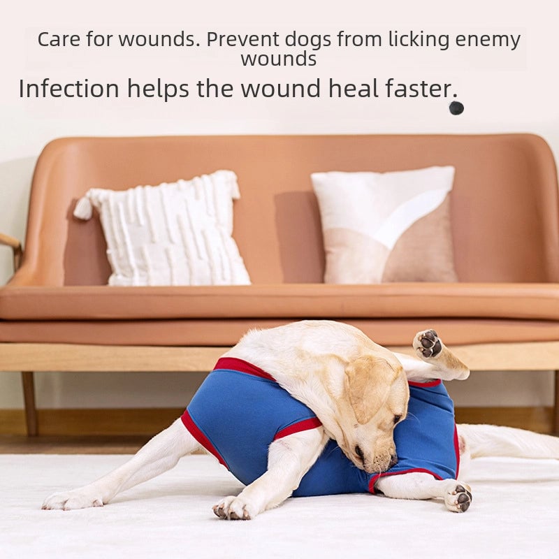 Pet Rehabilitation Clothes Dog Post-surgery Clothes Recovery Back Sterilization Clothes Pet Clothing