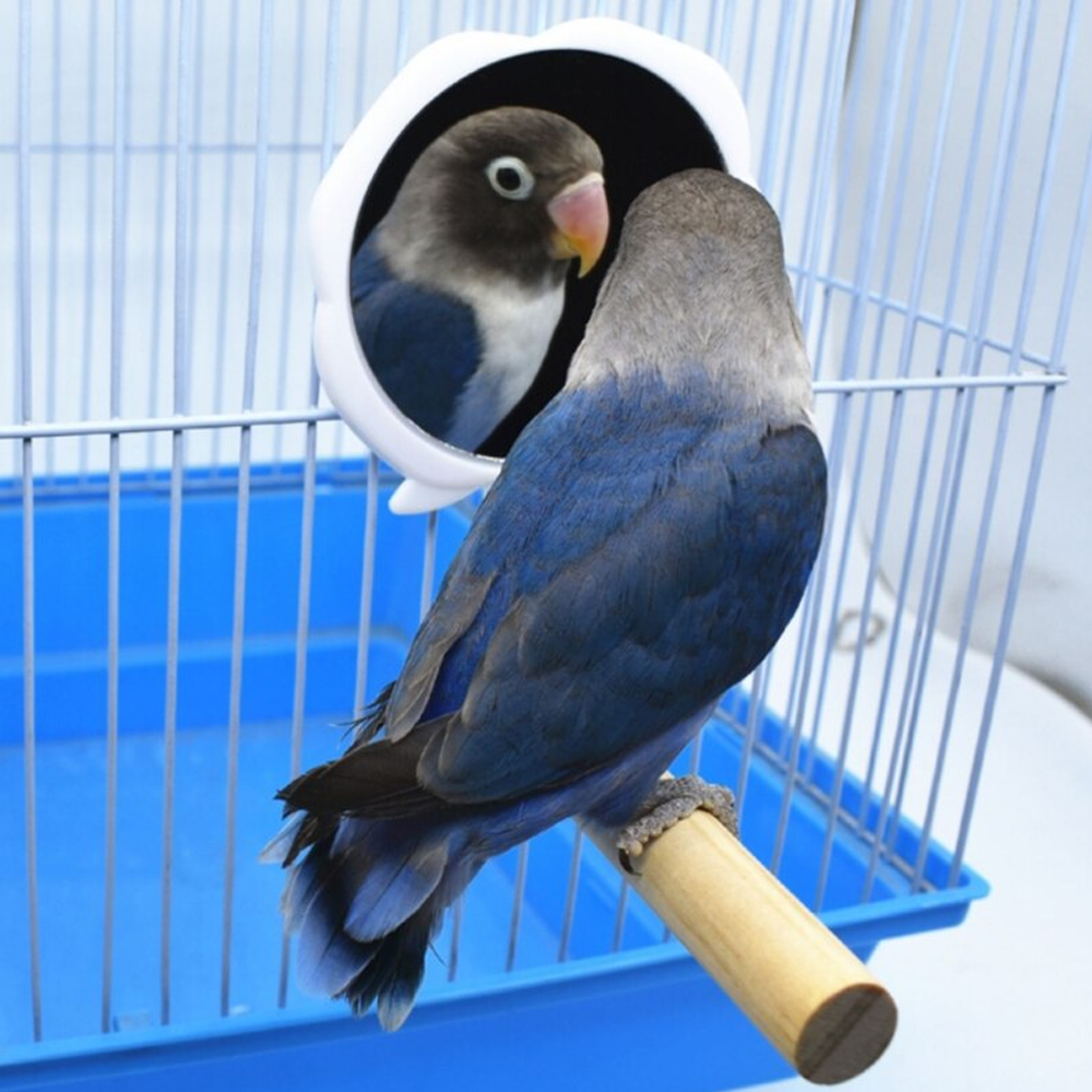 Wooden Pet Bird Toys with Mirror