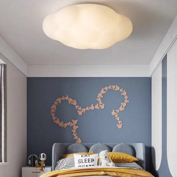 Ceiling Mounted Light