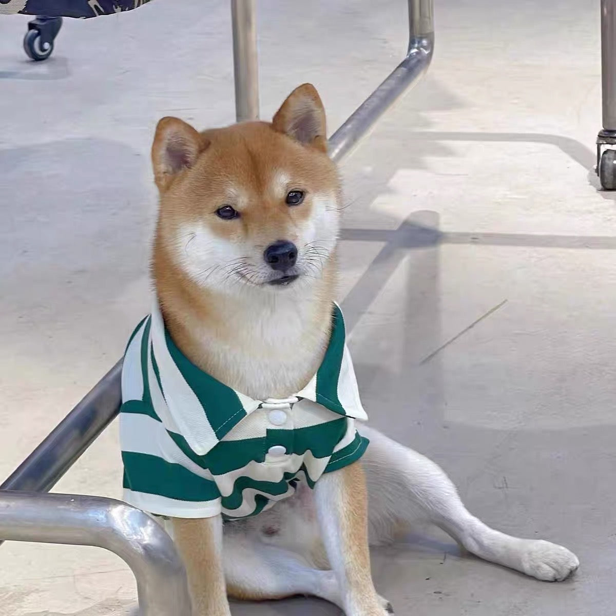 Striped Buttoned Dog Cat Polo Tee