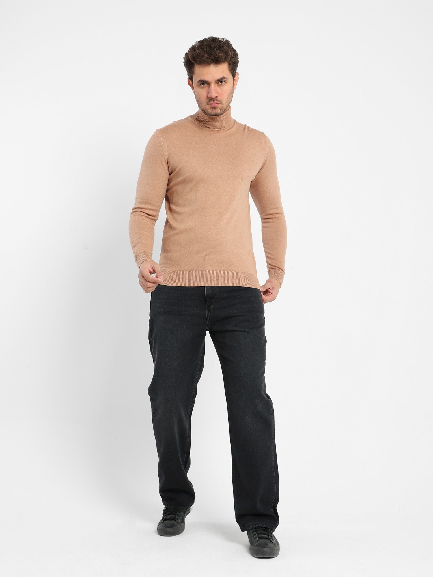 Basic Turtle Neck Solid Pullover
