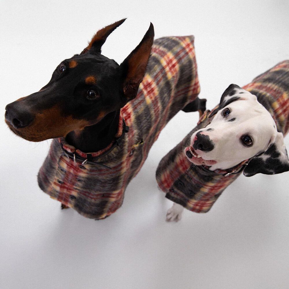 Vintage Plaid Wool With Refined Leather Collar & Button Dog Cape