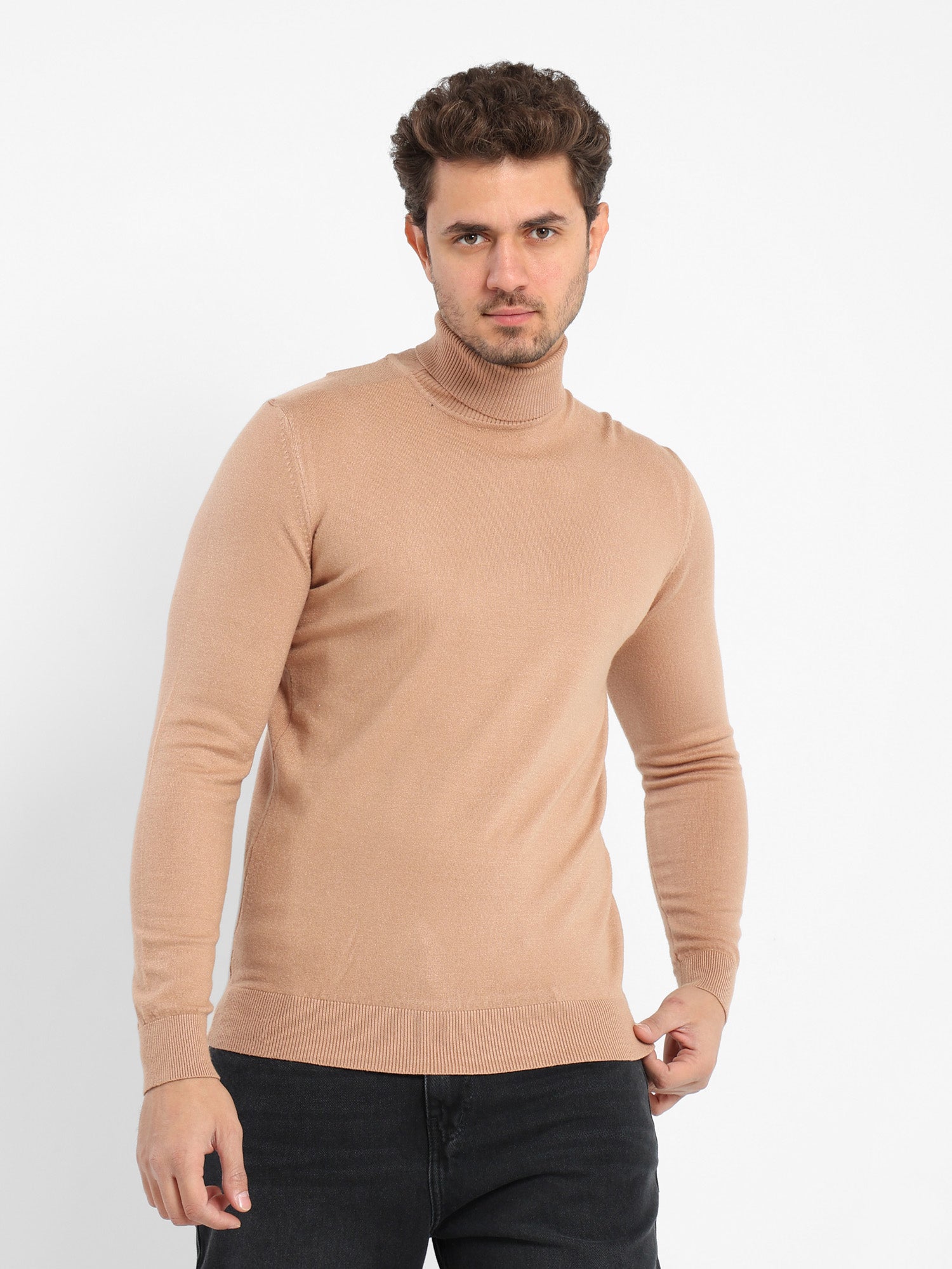 Basic Turtle Neck Solid Pullover