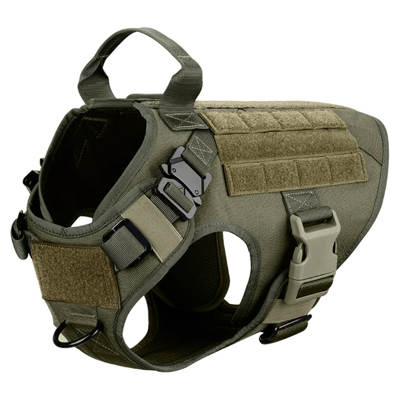Vibrant Design Dog Harness With Accessories