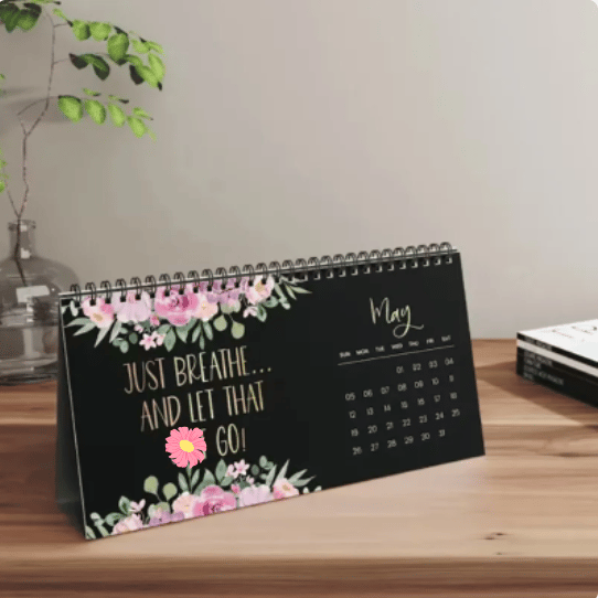 Funny Calendar 2024 Desk Calendar