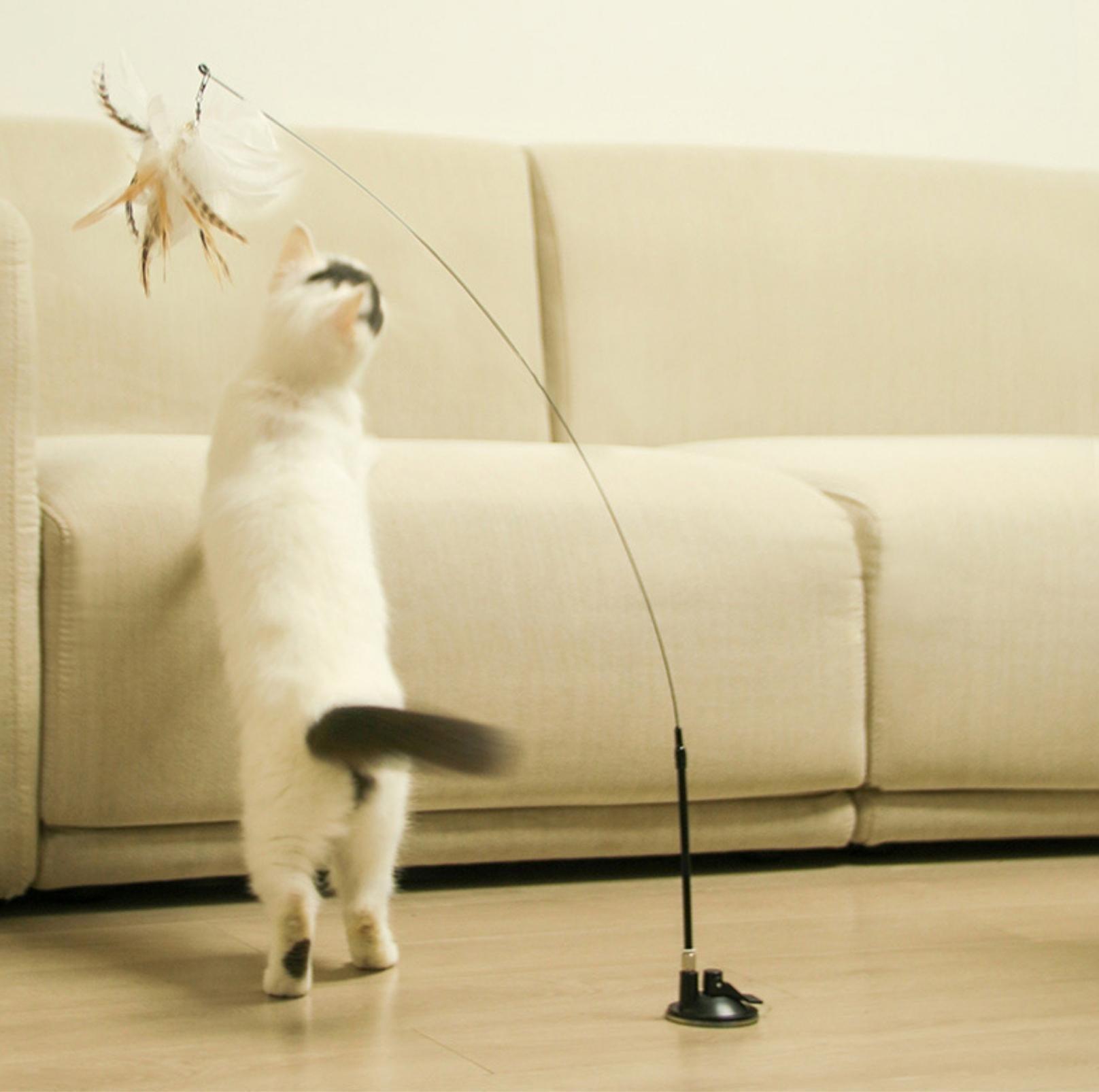 Free Your Hands: Extended Elastic Wire Cat Stick Teaser Cat Toys