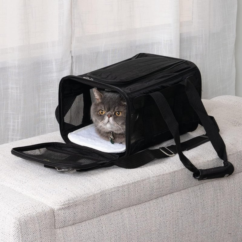 Travel Friendly Airline Pet Carrier