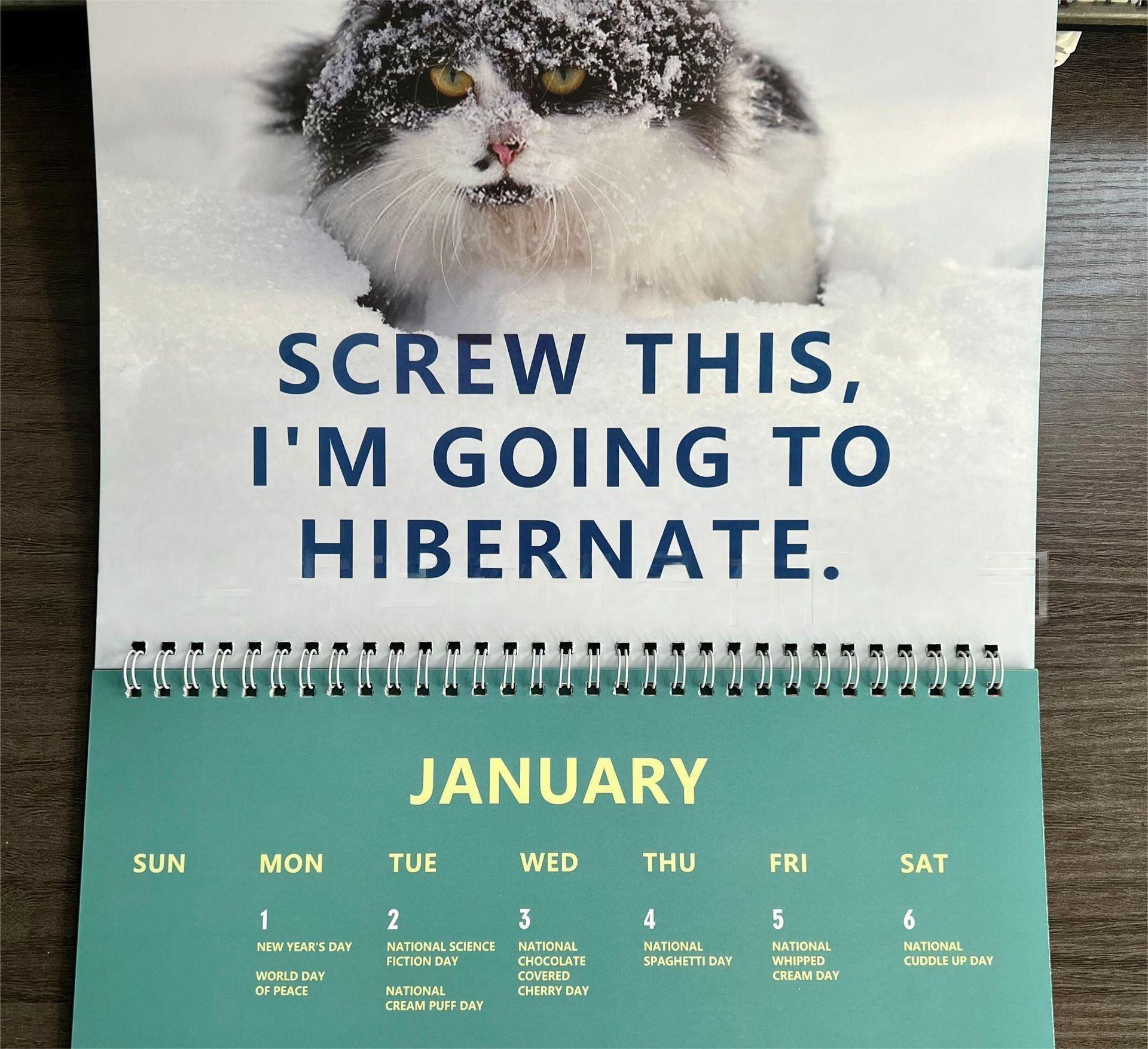 🎄Christmas Sale - 49% OFF😾2024 Pissed-Off Cats Calendar