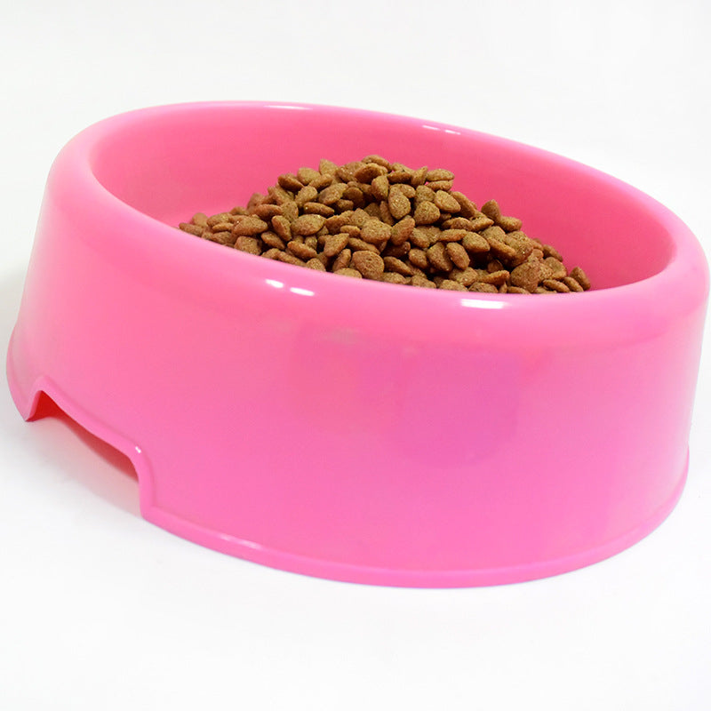 Dog Bowl For Food