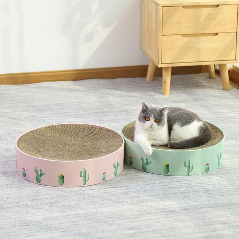 Cat Toy Scratch Board