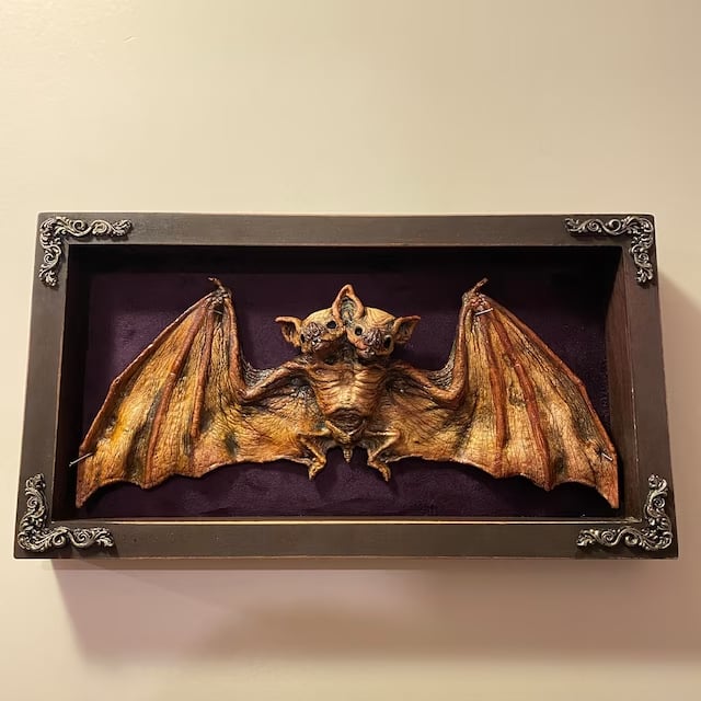 Artificial Bat Taxidermy - Wacky Art🦇