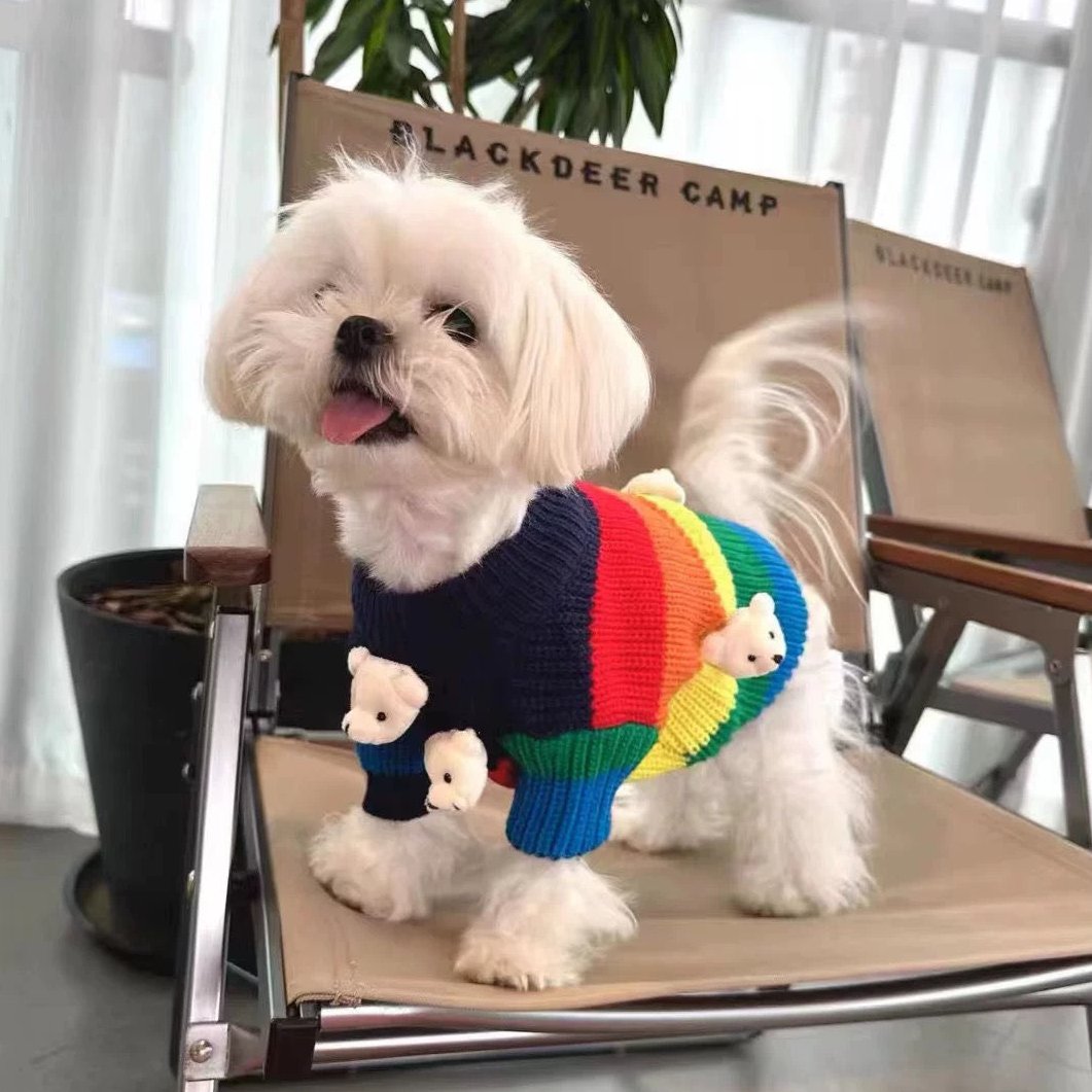 Bear Decor Multi-color Striped Dog Cat Sweater