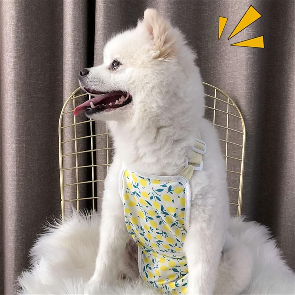 Pet Menstrual Pants. Washable Female Dog Diapers. Protective Belly Bands for Pet Clothes