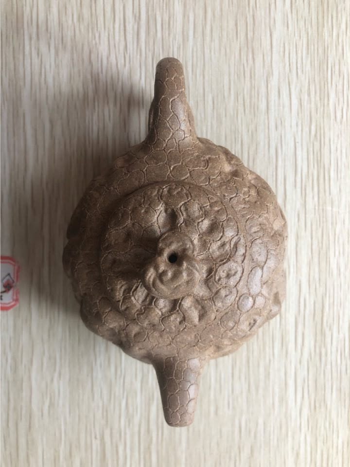 20250613-蓋杯-靈芝供春-Guowen Huang大大專屬（蔡宜娟姐姐代付）