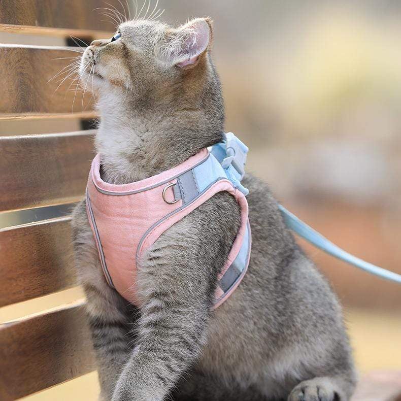 Luminous Cat Vest Harness and Leash Set⚡⚡BUY 2 FREE SHIPPING