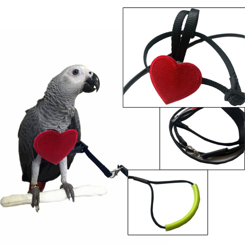 Bird Ultralight Harness Leash