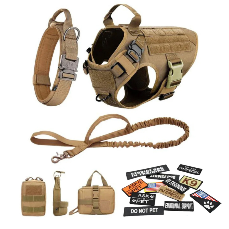Dog Harness With D Rings