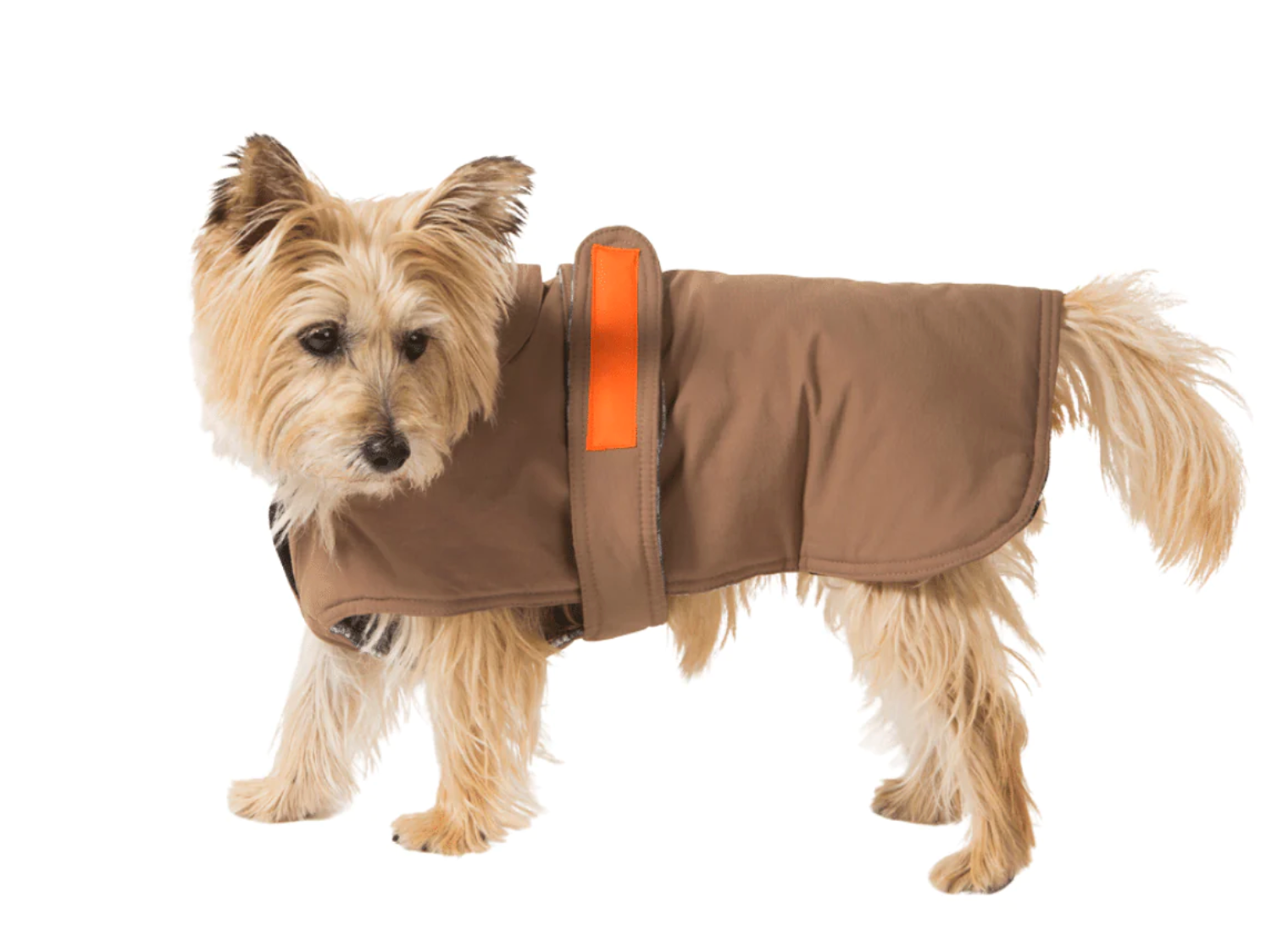 All-Weather Dog Coats