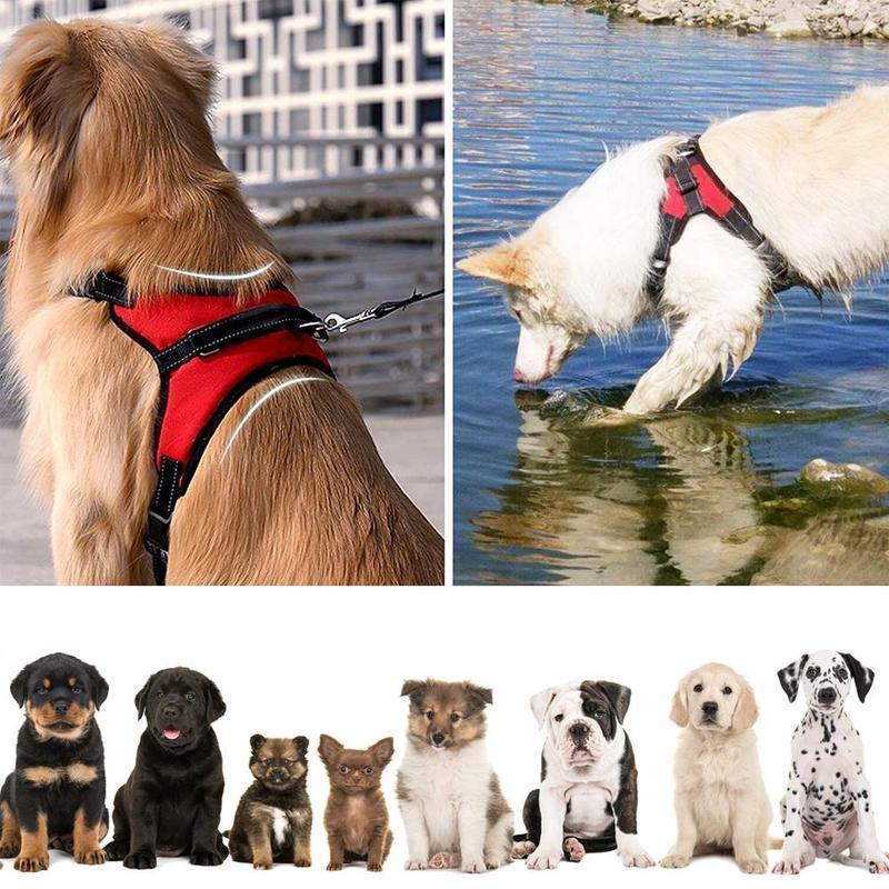 No-Pull Dog Harness. Adjustable Harness for Dogs