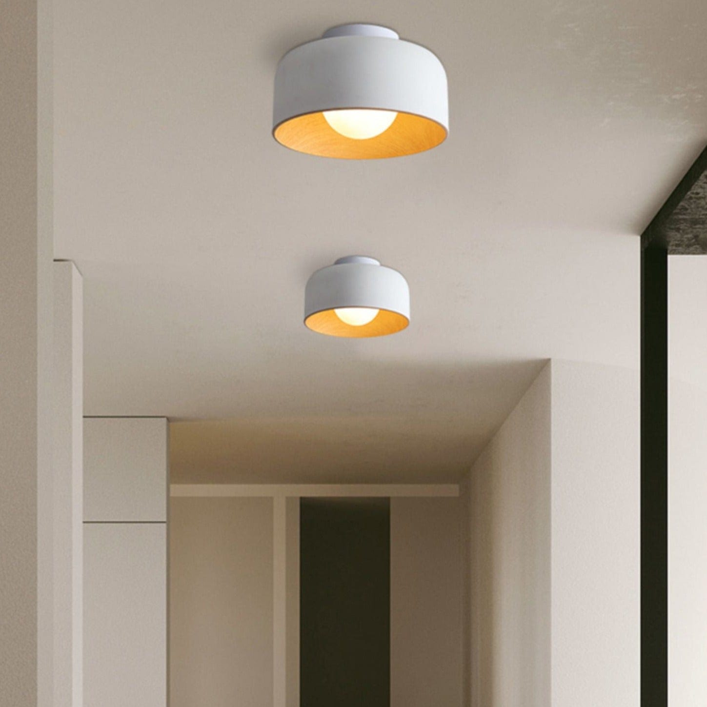 Semi Flush Mounted Light