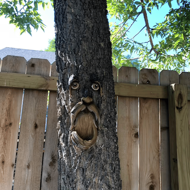 Hot Sale 49% OFF🌳Unique Bird Feeders for Outdoors-Old Man Tree Art