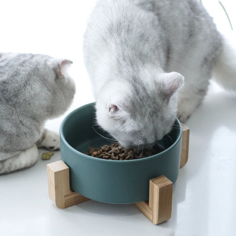 Pet Bowl With Wood Stand