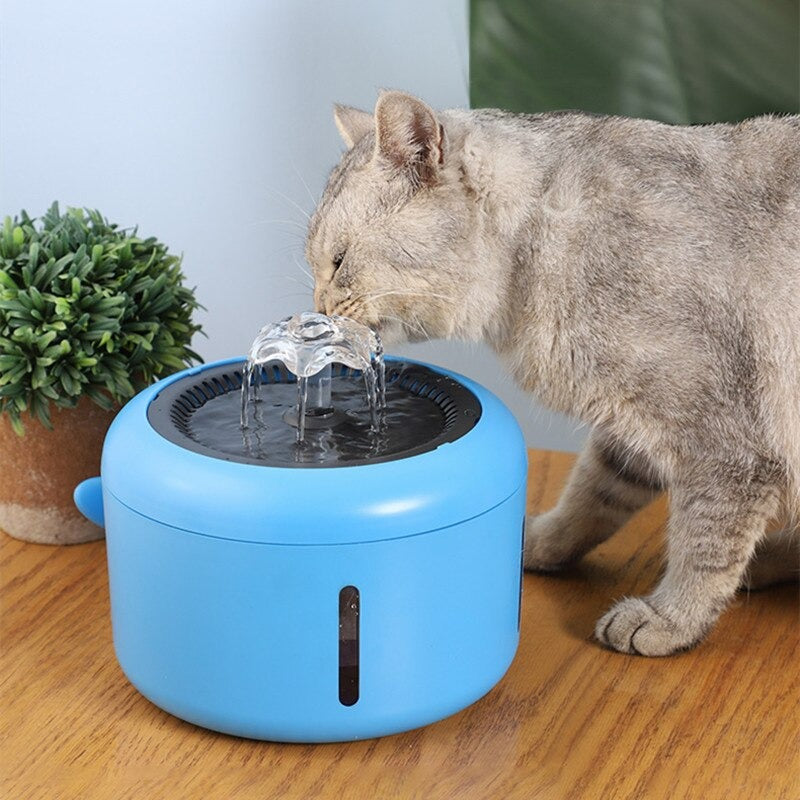 Whale Shape Cat Fountain