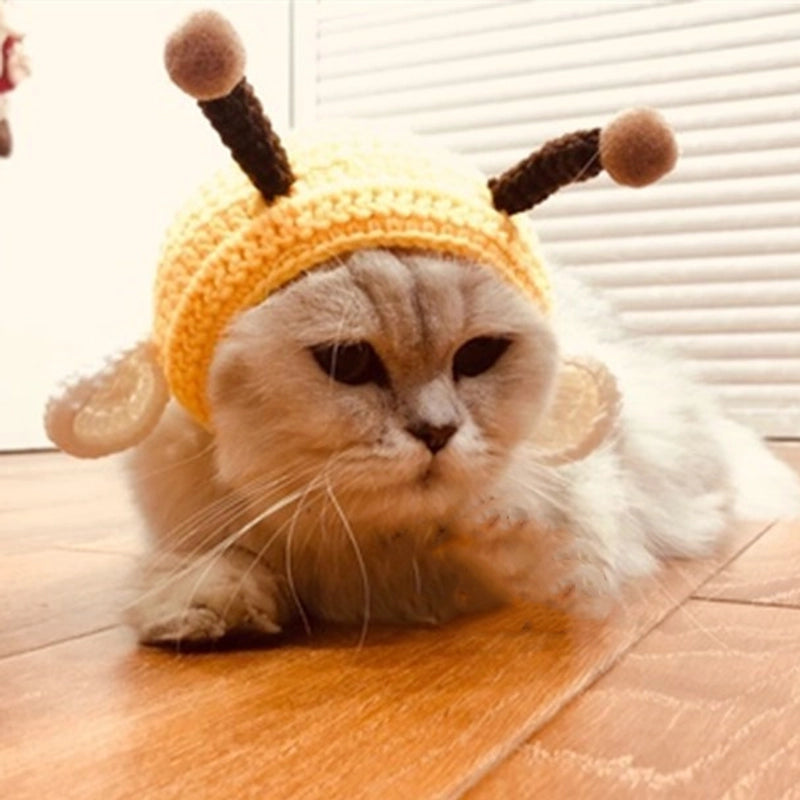 Cute Acrylic Frog Patchwork Pet Hat