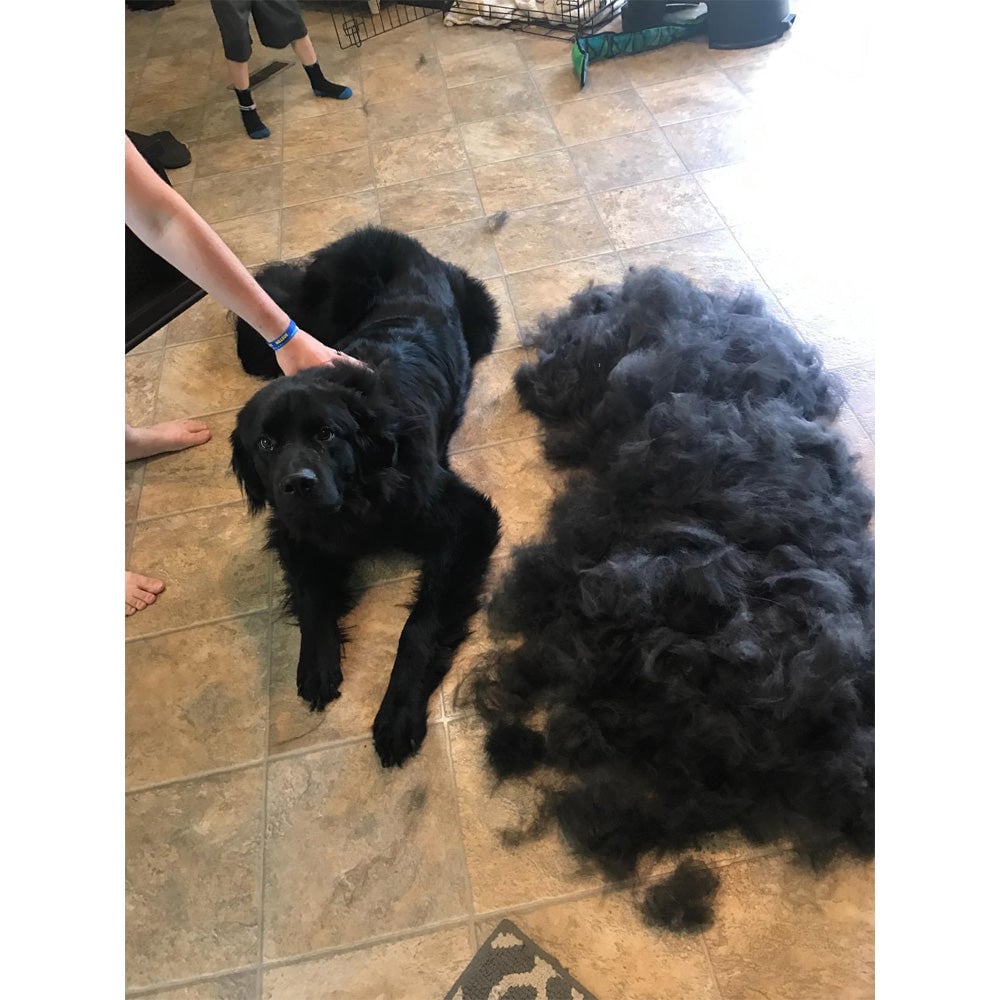 🔥Summer Gift 50% OFF🔥Pet Grooming Brush - Double Sided Shedding And Dematting Undercoat Rake Comb