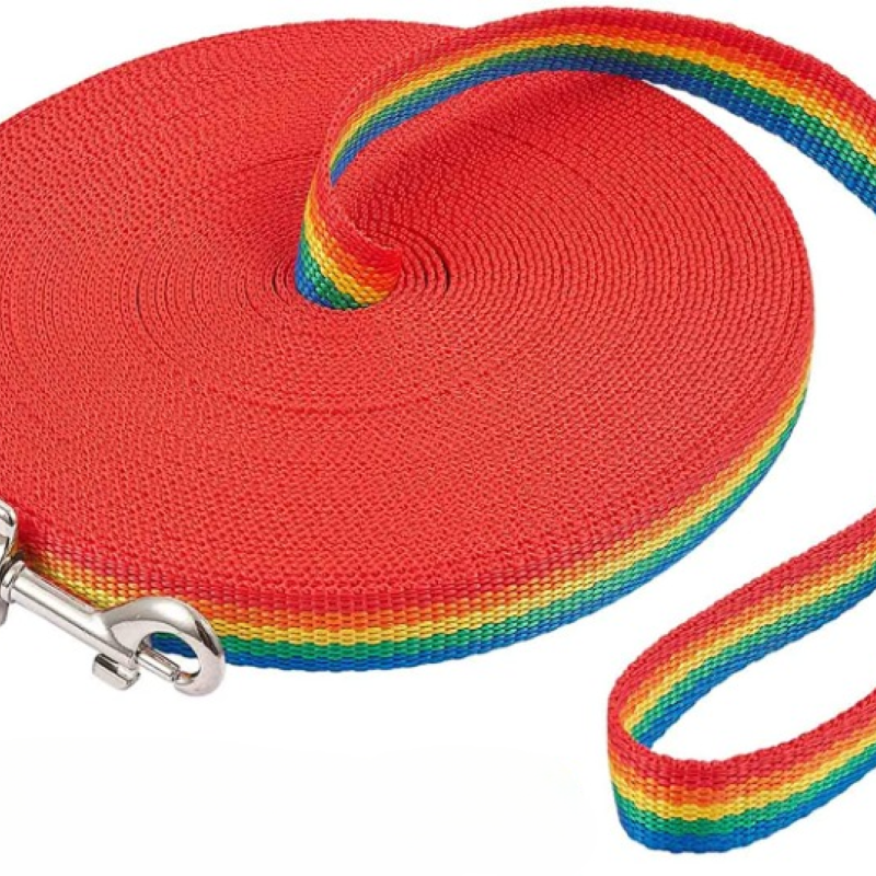 Puppy Obedience Recall Training Long Leash-For Dog
