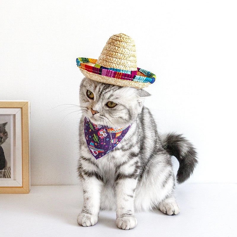 Pet Supplies Straw Mini Pet Dog Straw Hat Pet Mexican Straw Hat Pet Cat Sun Hat
