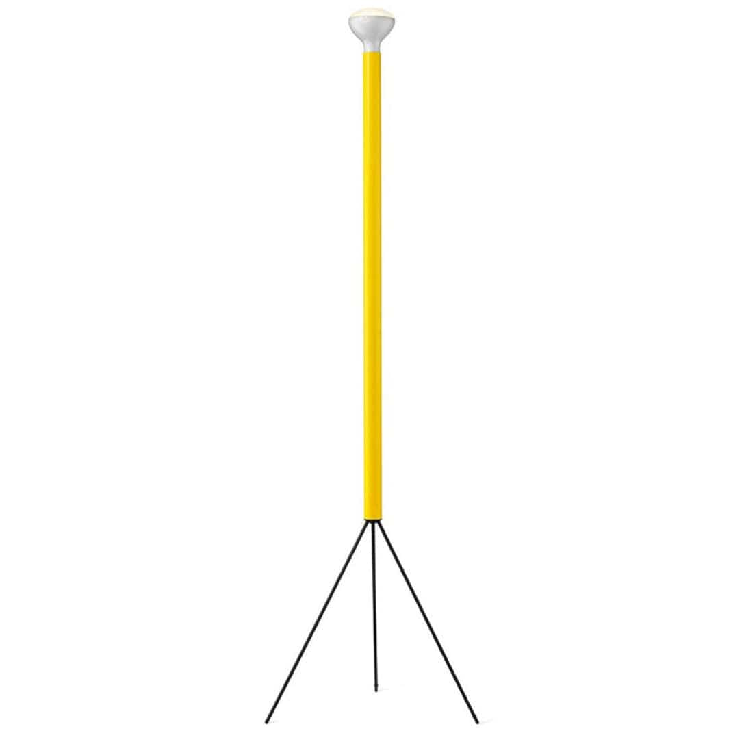 Apate | Modern LED Floor Lamp