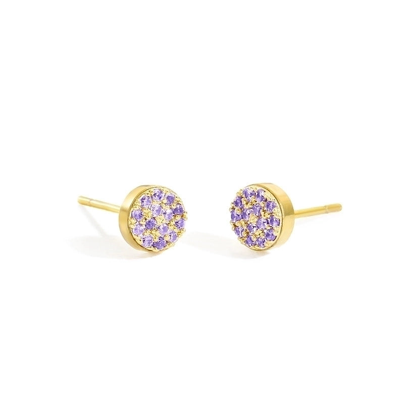 Minimalist Round Stainless Steel Inlay Artificial Diamond Ear Studs 1 Pair