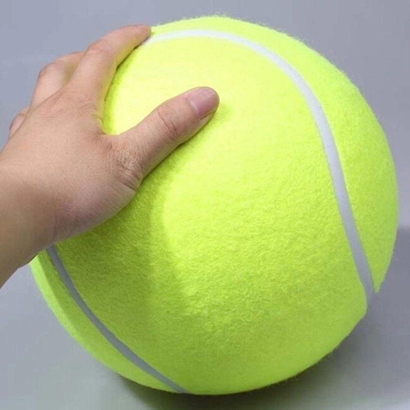 Minimalist Sports Rubber Ball Pet Toys