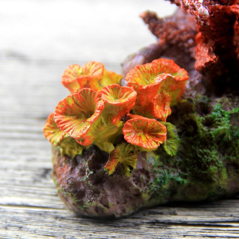 Living Reef Ornament For Aquarium
