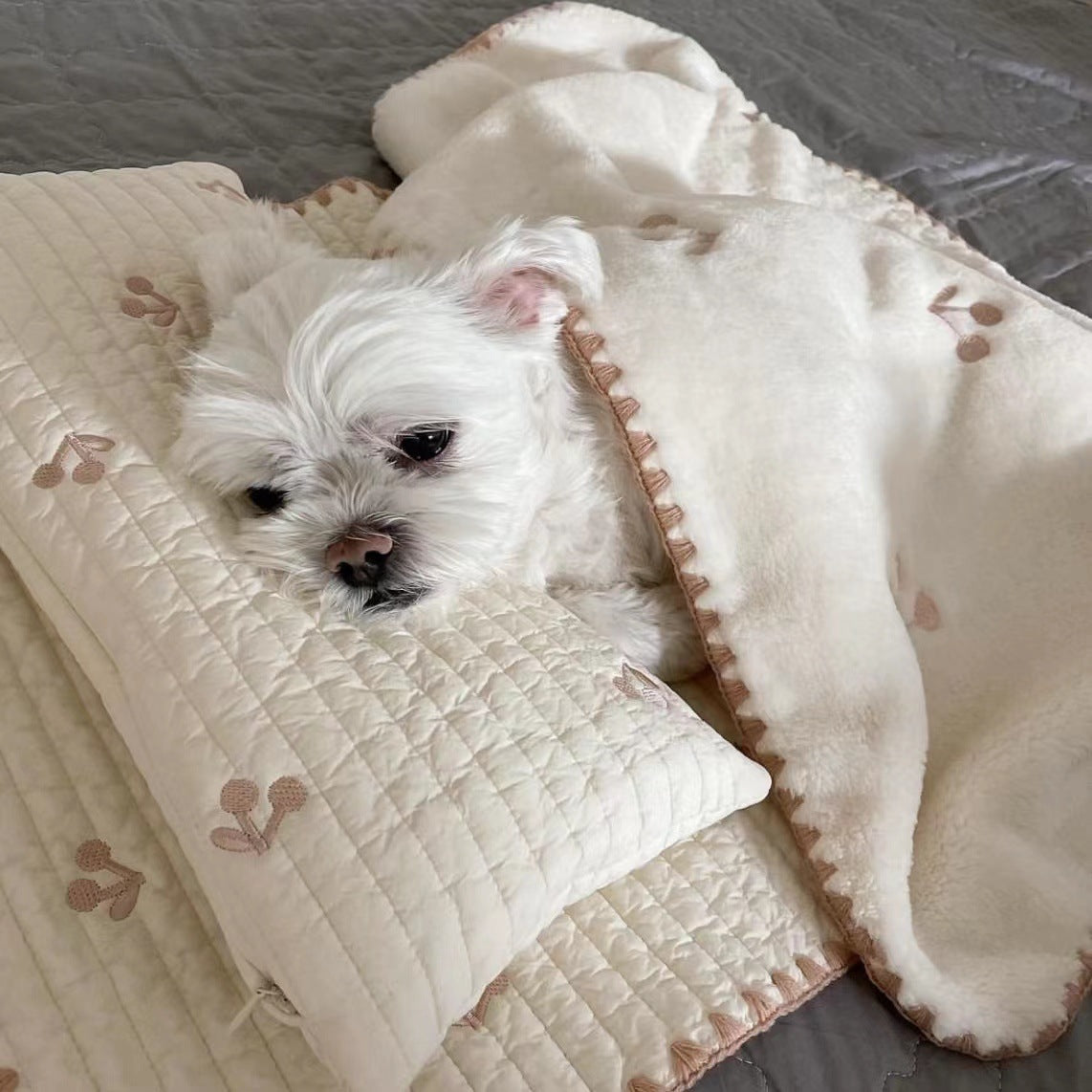 Fashion Square Dog & Cat Bed - Removable & Washable 3-Piece Set
