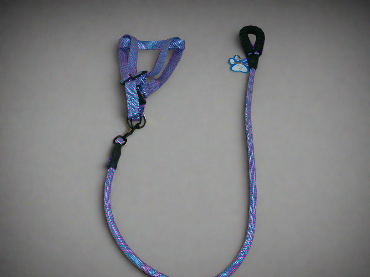 Dog leash + harness